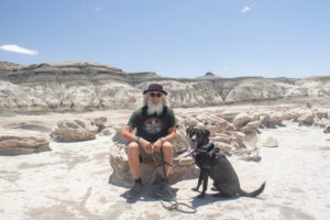 Bisti Badlands