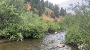 Creek Near Bear Lake